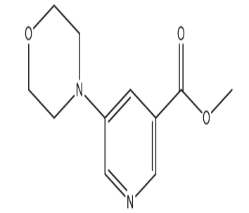 Methyl 5-morpholinonicotinate，cas500865-54-3