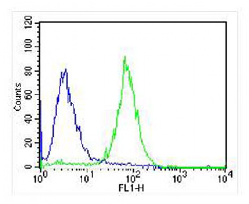Mouse anti-NTRK2 Monoclonal Antibody(1446CT494.85.83.49)