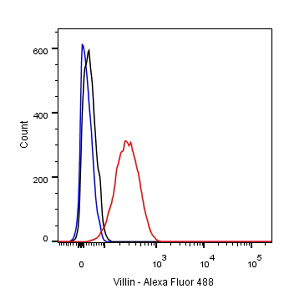 Rabbit anti-Villin Monoclonal Antibody(039-78)