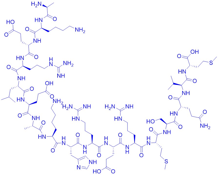 Amyloid β/A4 Protein Precursor770 (394-410)