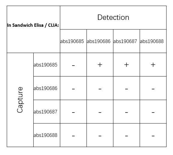 Rabbit anti-MPO Recombinant Monoclonal Antibody(224-19)