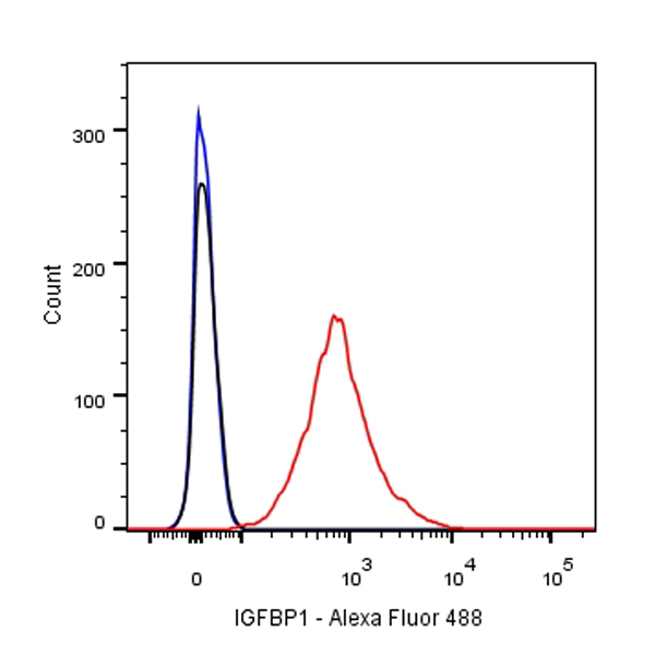 Rabbit anti-IGFBP1 Recombinant Monoclonal Antibody(196-47)