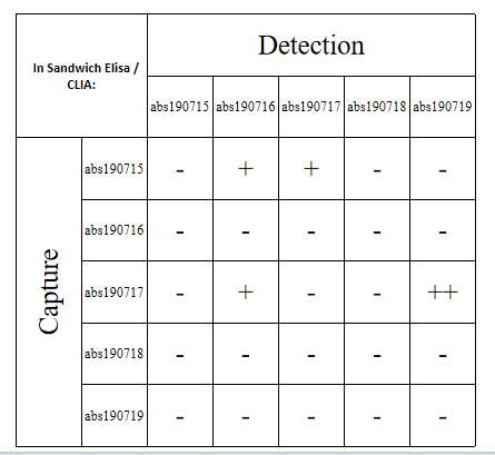 Rabbit anti-PSA Recombinant Monoclonal Antibody(195-44)