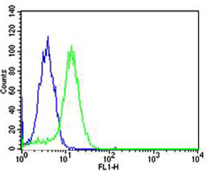 Mouse anti-USP11 Monoclonal Antibody(C-term R565)(1220CT620.193.189)