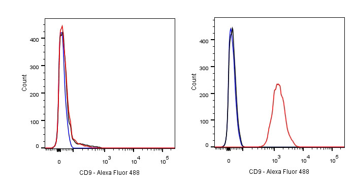 Rabbit anti-CD9 Recombinant Monoclonal Antibody(143-53)