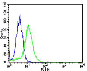 Mouse anti-TOP1 Monoclonal Antibody(N-term)(1291CT875.142.166)