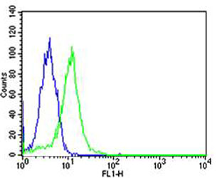 Mouse anti-PPARA Monoclonal Antibody(1331CT894.186.143)