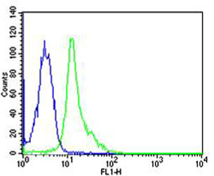 Mouse anti-FYN Monoclonal Antibody(1302CT390.118.237)