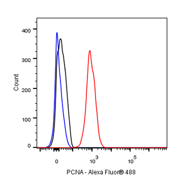 Rabbit anti-PCNA Recombinant Monoclonal Antibody(297-116)