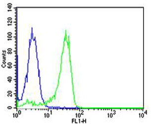 Mouse anti-NFKB1 Monoclonal Antibody(1298CT792.105.117.133)