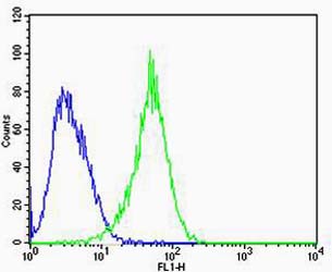 Mouse anti-RAC1 Monoclonal Antibody(1301CT276.121.104)