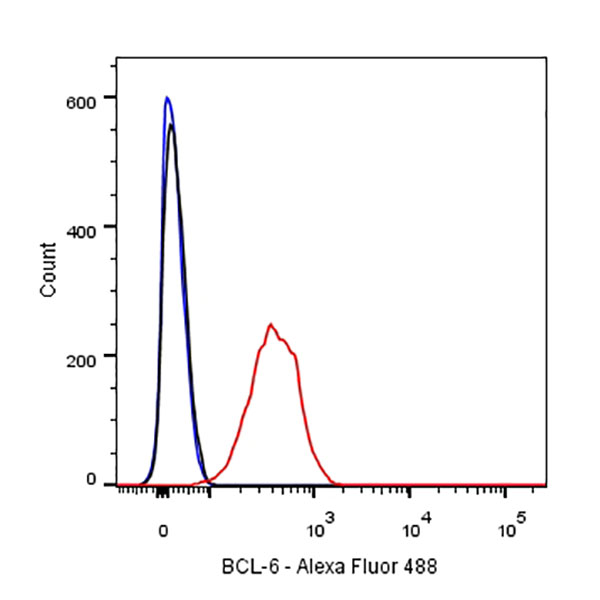 Rabbit anti-BCL-6 Recombinant Monoclonal Antibody(103-21)
