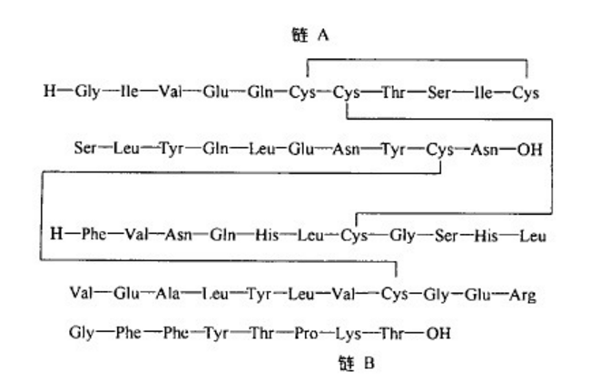 重组人胰岛素