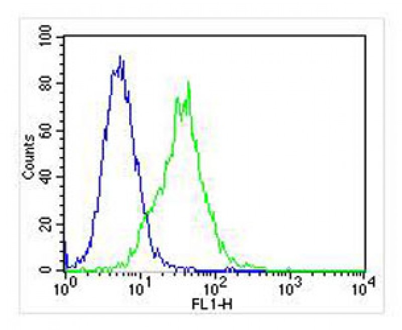 Mouse anti-HINT1 Monoclonal Antibody(1500CT836.13.93)