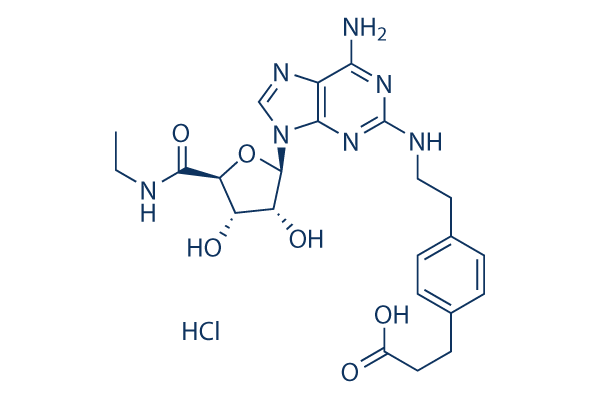 CGS 21680 Hydrochloride