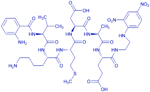 Abz-Amyloid β/A4 Protein Precursor770 (669-674)-EDDnp