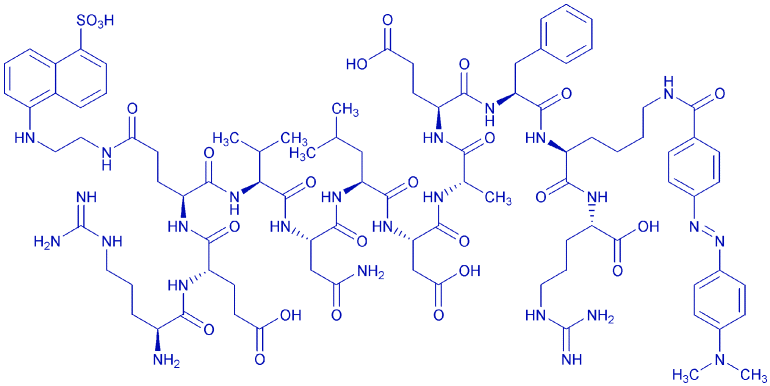 Arg-Glu(EDANS)-(Asn670,Leu671)-Amyloid β/A4 Protein Precursor770 (668-675)-Lys(DABCYL)-Arg