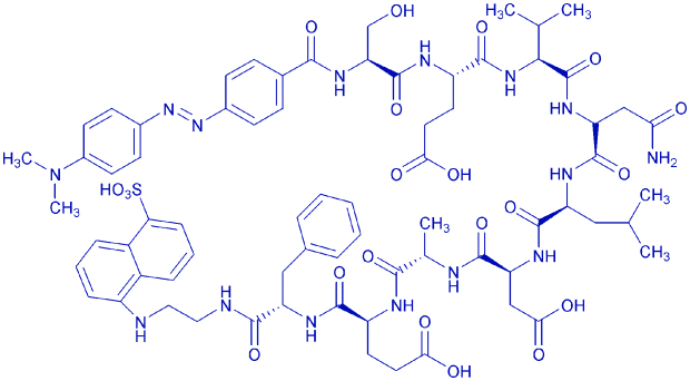 DABCYL-(Asn670,Leu671)-Amyloid β/A4 Protein Precursor770 (667-675)-EDANS