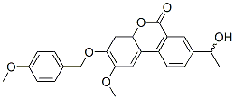 Palomid 529