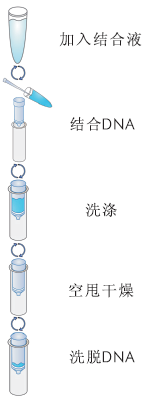 超薄柱型PCR产物纯化试剂盒
