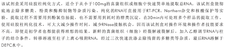 真菌RNA小量提取试剂盒