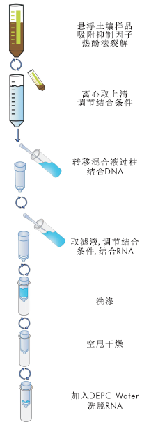 土壤RNA提取试剂盒