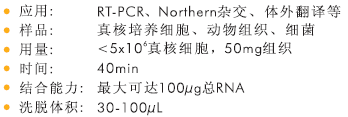 miRNA 提取试剂盒