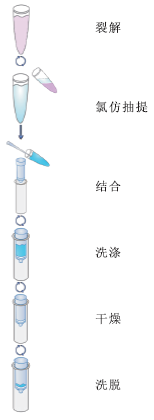 软体动物DNA小量提取试剂盒