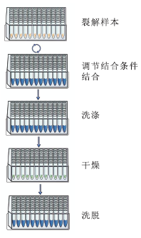 96孔磁珠组织DNA提取试剂盒