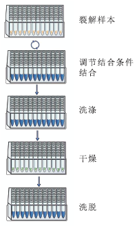 磁珠法医样品DNA提取试剂盒