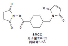 交联剂 SMCC（琥珀酰亚胺基4-[N-马来酰亚胺甲基]环己烷-1-羧化物） 50mg 22360 PIERCE
