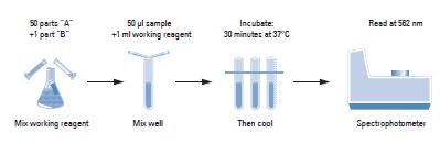 BCA蛋白定量分析试剂A (BCA Protein Assay Reagent A) 500mL 23228 PIERCE