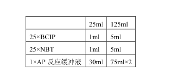 BCIP/NBT底物显色试剂盒PR1100