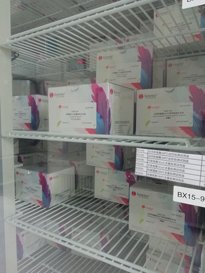 过氧化物酶（POD）活性检测试剂盒BC0090