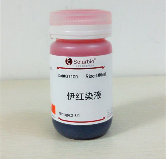 G1100 伊红染色液 G1100